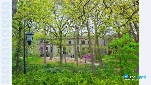 Wellesley College photo #2