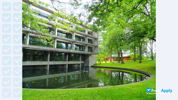 Wellesley College photo #4
