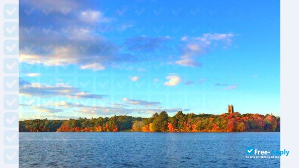 Wellesley College photo #5