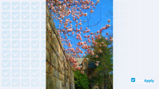 Wellesley College thumbnail #4
