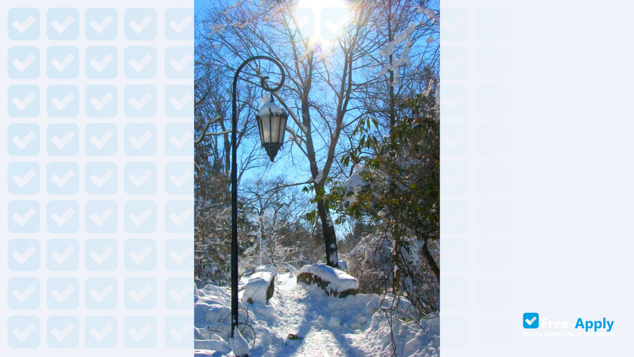Wellesley College photo #7