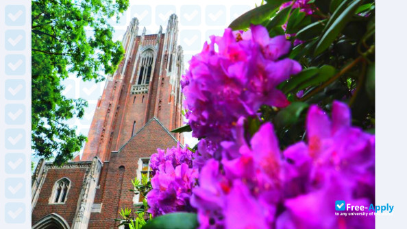 Wellesley College photo #1