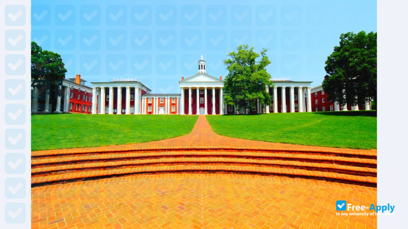 Foto de la Washington & Lee University #5