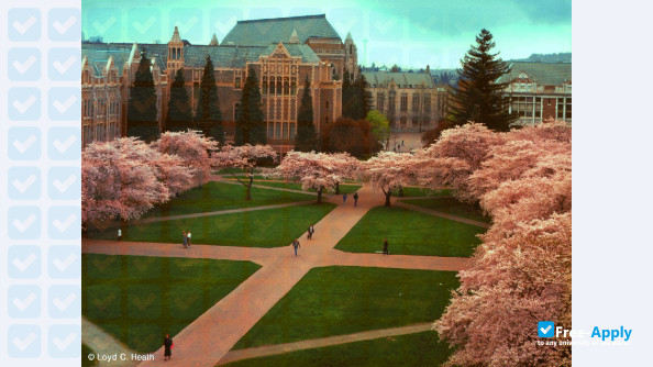 University of Washington photo