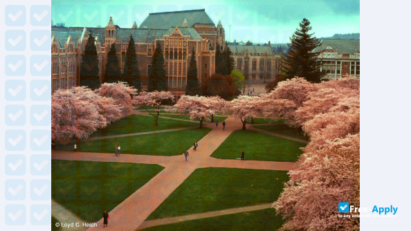 University of Washington фотография №6