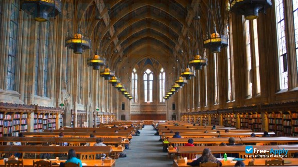University of Washington photo #12