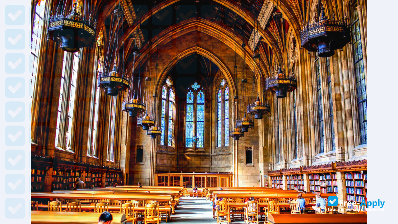 University of Washington photo #4