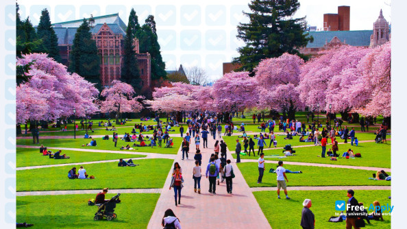University of Washington фотография №10