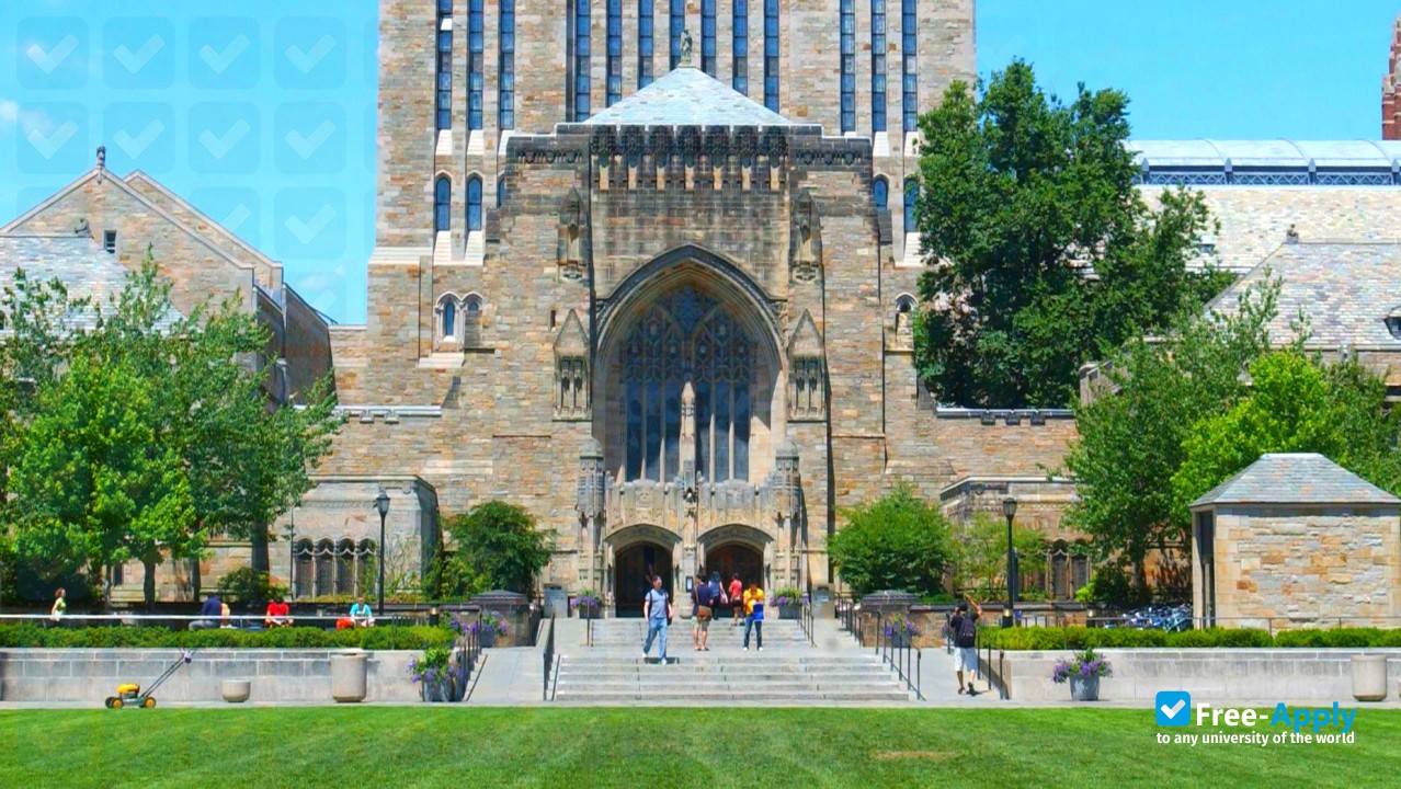 Yale University фотография №4