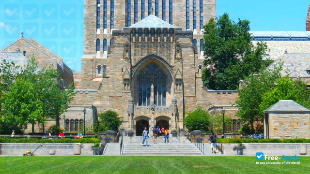 Foto de la Yale University #1