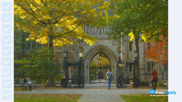 Foto de la Yale University #5