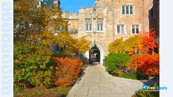 Yale University фотография №3