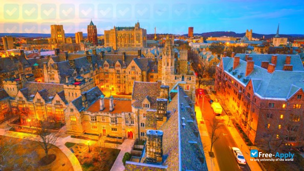 Yale University фотография №8