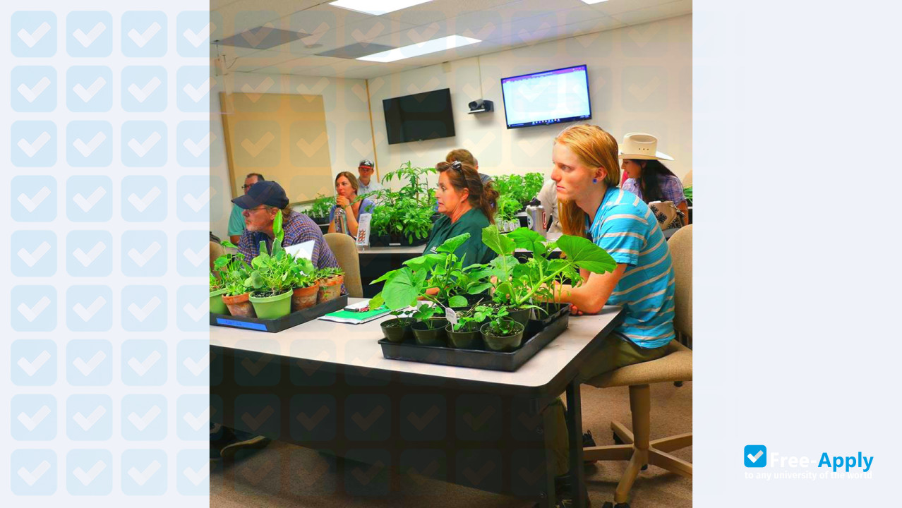 Yavapai College photo #9