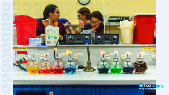 Foto de la Yeshiva University #4