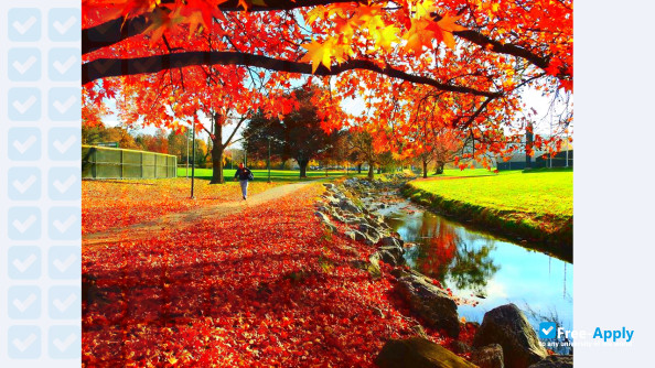 Photo de l’York College of Pennsylvania #10