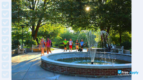 Photo de l’York College of Pennsylvania #2