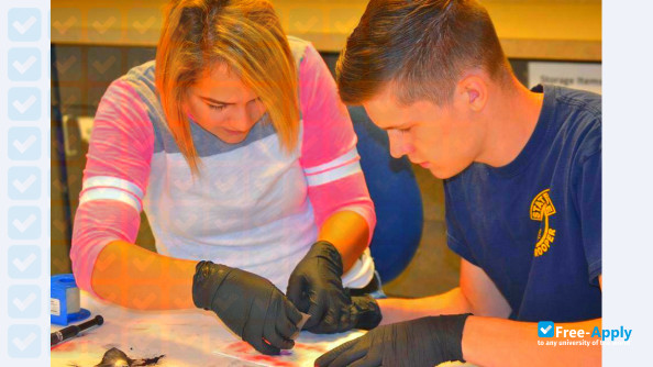 York County Community College photo #10