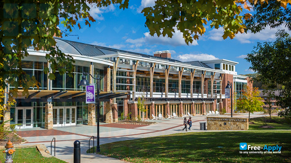 Young Harris College photo #8