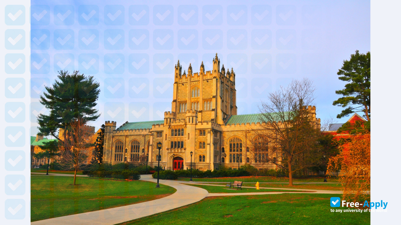 Vassar College photo #9