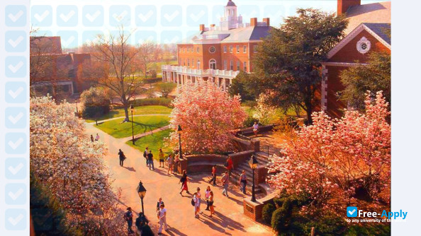Washington College photo #22