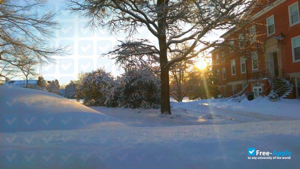 Washington College photo #3