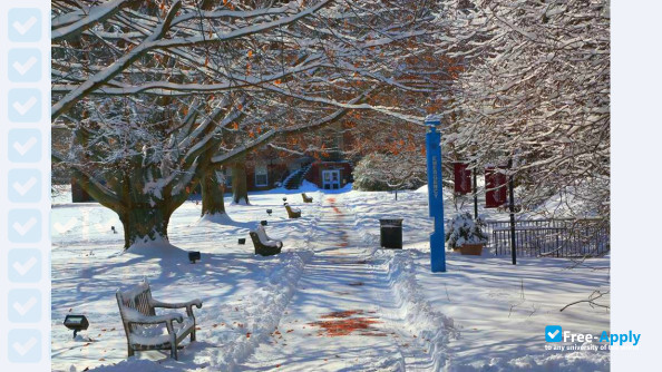 Washington College photo #18