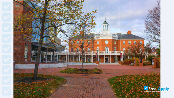 Washington College photo #19