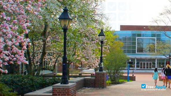 Washington College photo #21
