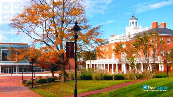 Washington College photo #17
