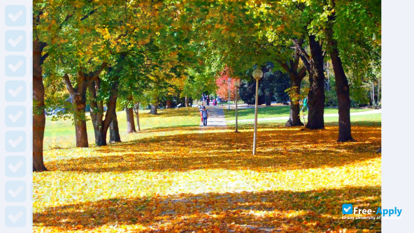 Washington State University Pullman photo #21