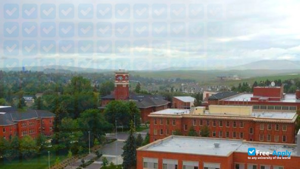 Washington State University Pullman photo #13