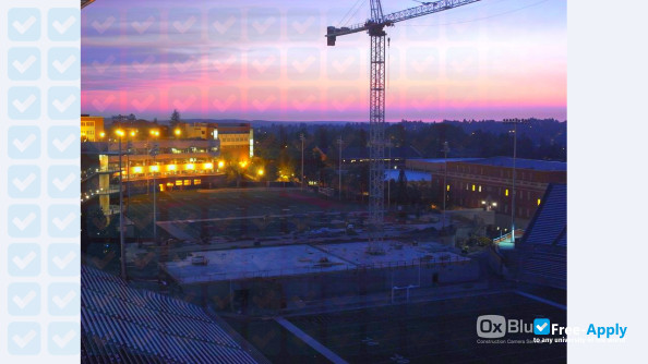 Washington State University Pullman photo #6
