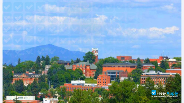 Washington State University Pullman фотография №12