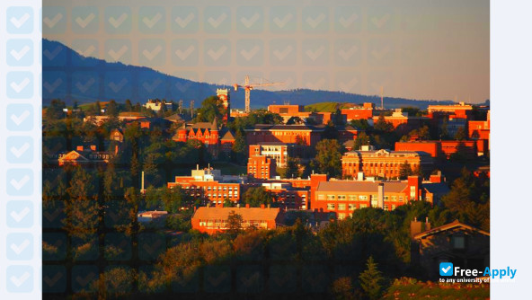 Washington State University Pullman photo #8
