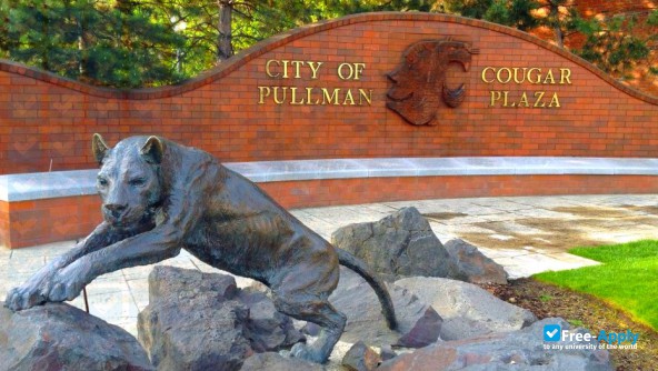 Washington State University Pullman photo #11