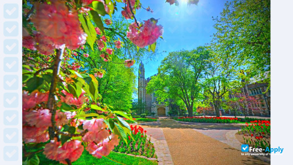 Washington University Saint Louis photo #18