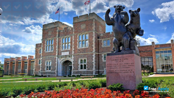 Washington University Saint Louis photo #8