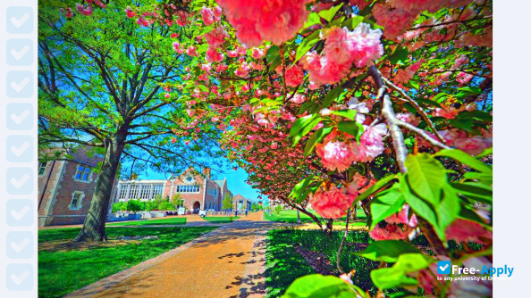 Washington University Saint Louis photo #6