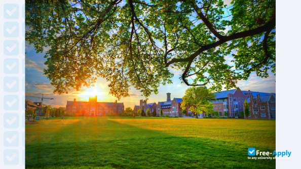 Washington University Saint Louis photo #17