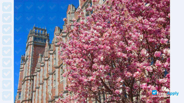 Washington University Saint Louis photo #11