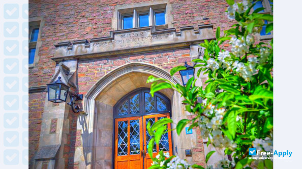 Washington University Saint Louis photo #14