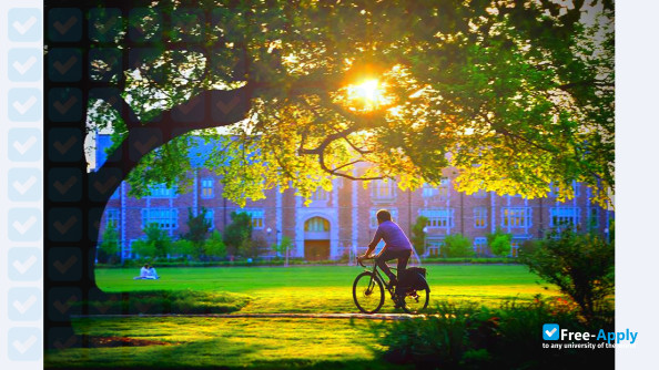 Washington University Saint Louis photo #13
