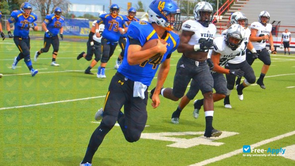 Foto de la Wayland Baptist University #8