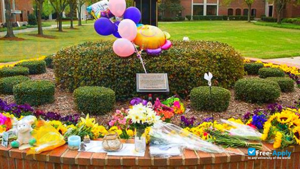 Wayne Community College photo #15