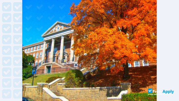 West Virginia University фотография №7
