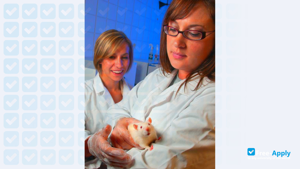 West Virginia University Institute of Technology photo