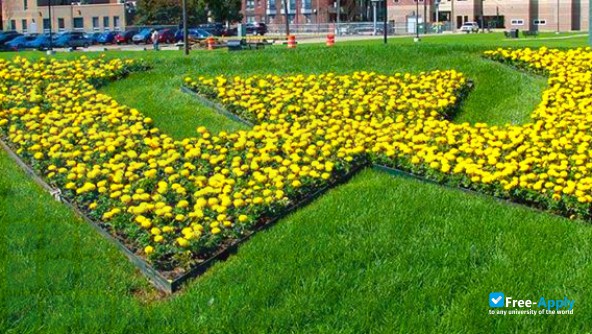 Photo de l’Wayne State University #19