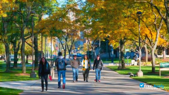 Wayne State University фотография №11