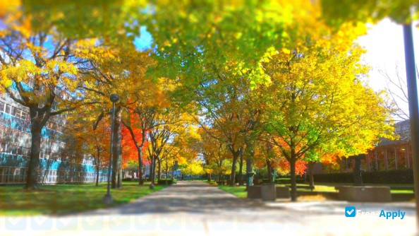 Photo de l’Wayne State University